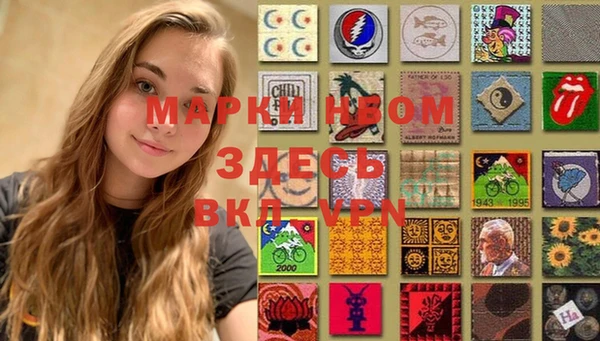 индика Гусев