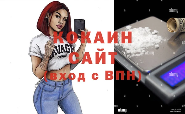 прущая мука Дмитриев