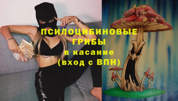 mix Гусиноозёрск