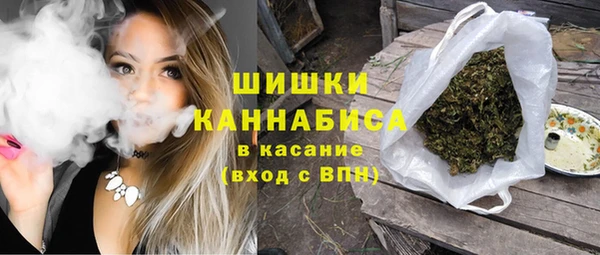 прущая мука Дмитриев