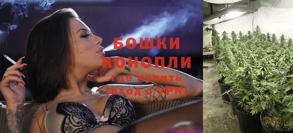 прущая мука Дмитриев