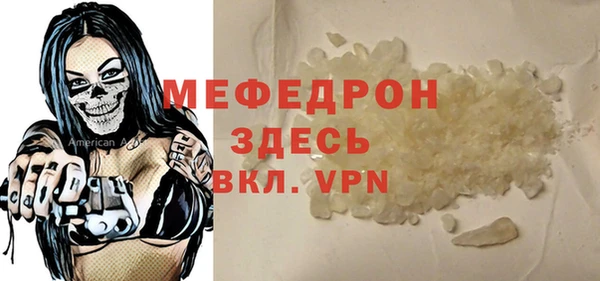 индика Гусев