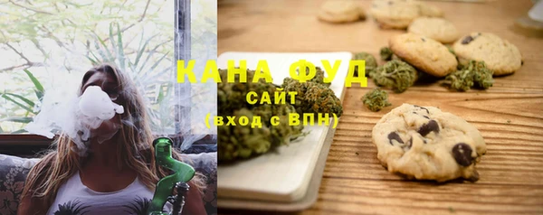 индика Гусев