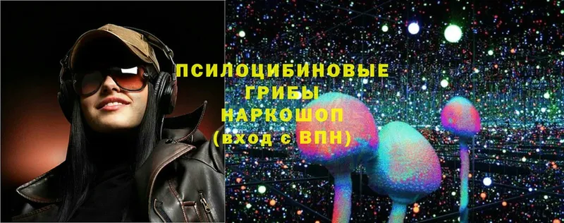 Псилоцибиновые грибы прущие грибы  Звенигород 