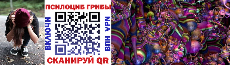 Псилоцибиновые грибы GOLDEN TEACHER  MEGA tor  Звенигород 